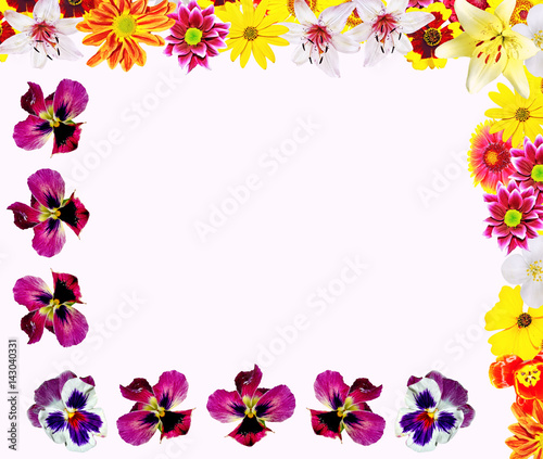 Fototapeta Naklejka Na Ścianę i Meble -  Colorful bright flowers isolated on white background
