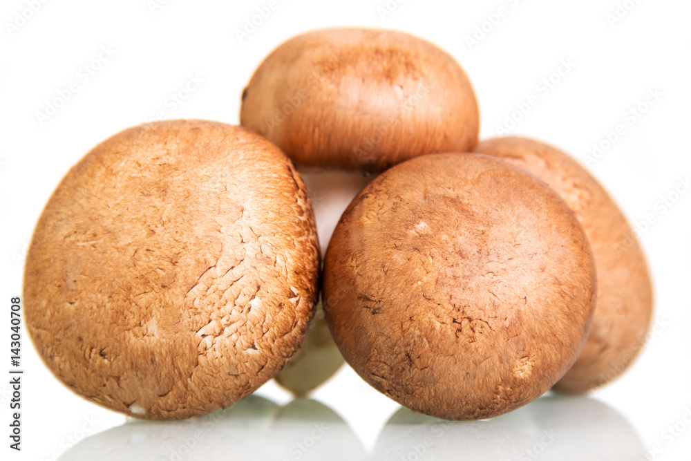 Brown mushrooms champignons close-up isolated on white. Brown mushrooms champignons close-up isolated on white.