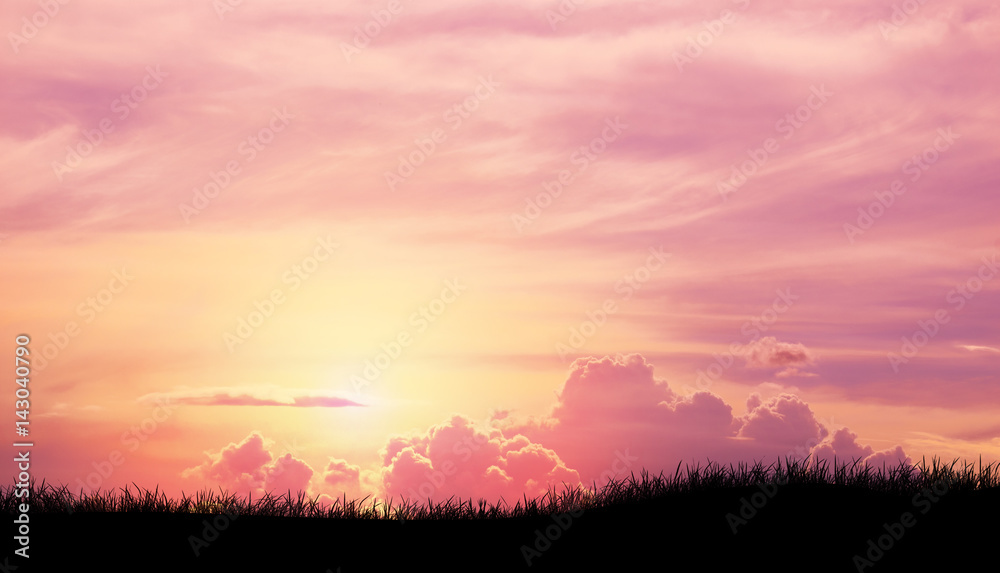 Silhouette grass in Pink purple sky cloud background