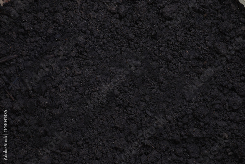 Fertil soil background texture, close up,