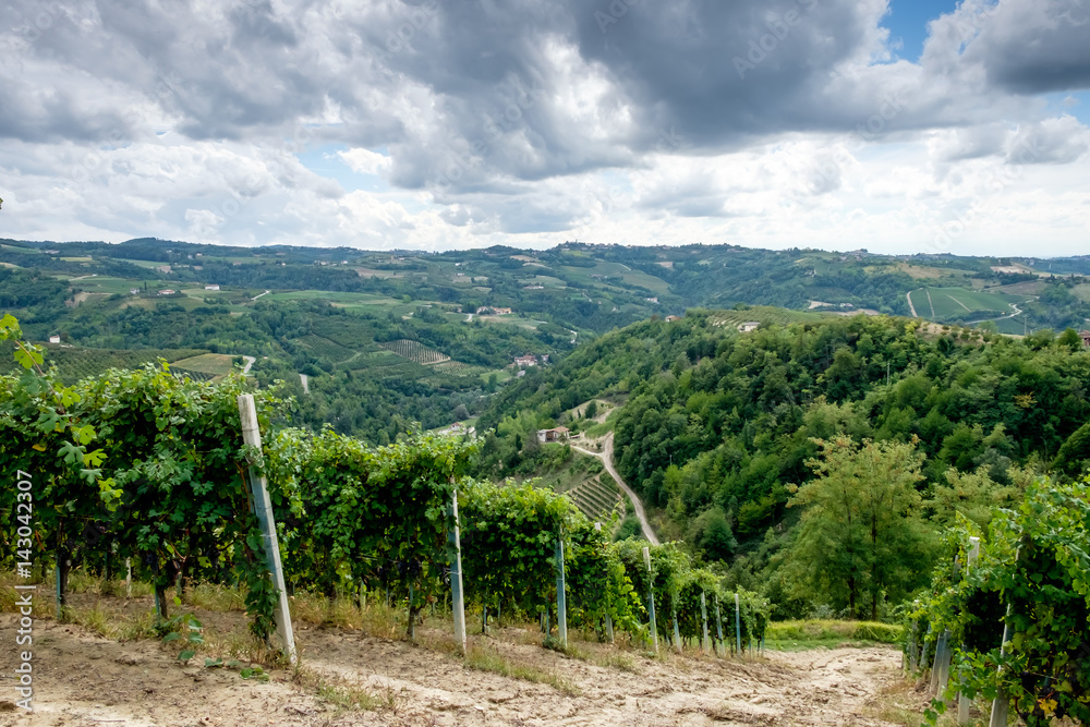 Panorama Piemont Italien von Weinberg