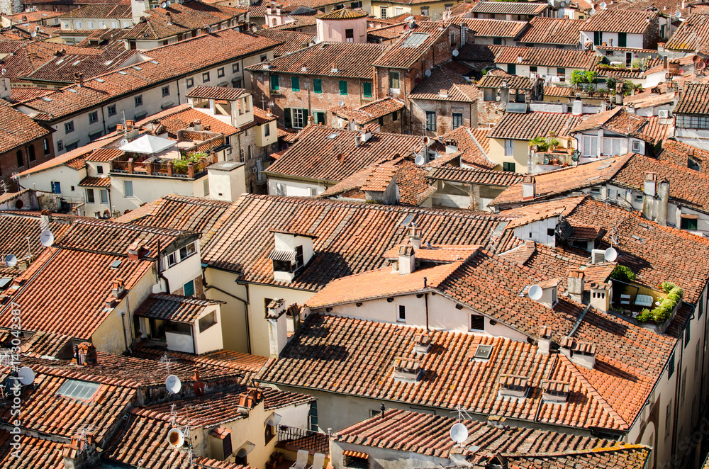 Red roofs of the old town of Lucca.