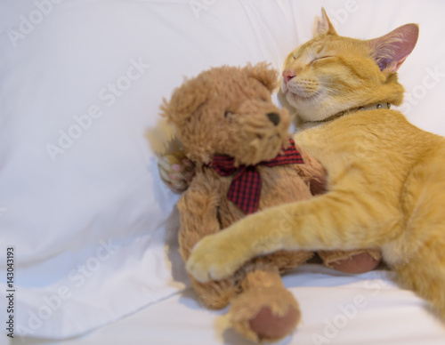 A cute yelllow cat sleep on white cozy bed with teddy bear
