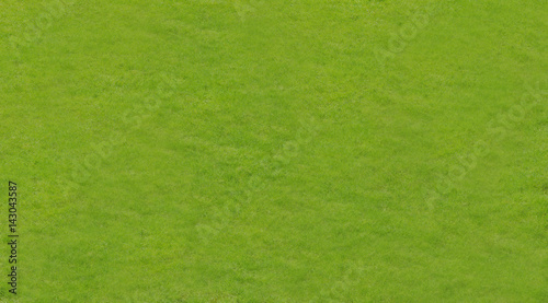 Background with green grass