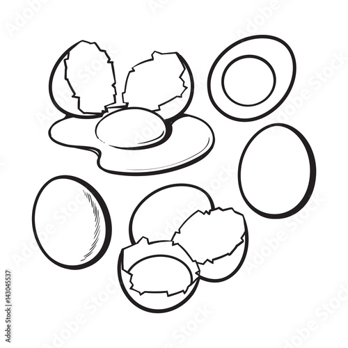Whole and cracked, broken shell chicken egg composition, sketch style vector illustration isolated on white background. Hand drawn raw, boiled and fried, whole and cracked chicken eggs