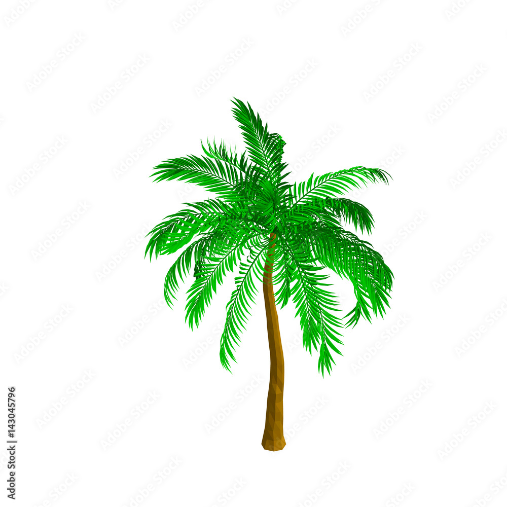 Obraz premium Palm tree. Isolated on white background. Isometric view.