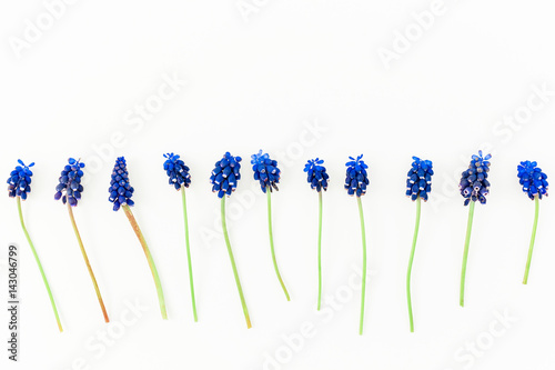 Fototapeta Naklejka Na Ścianę i Meble -  Blue muscari on white background. Flat lay, top view. Spring flowers