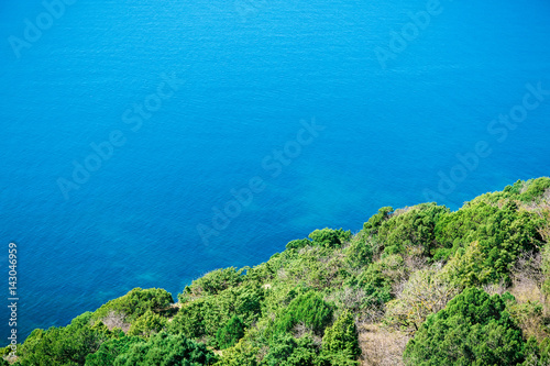 Blue ocean and cliff with juniper in the Mediterranean. Summer day