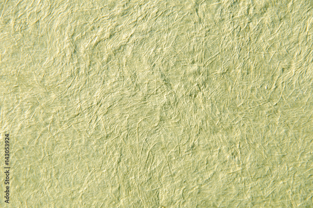 Grass paper with visible fibers, homemade Grass paper with visible fibers, homemade
