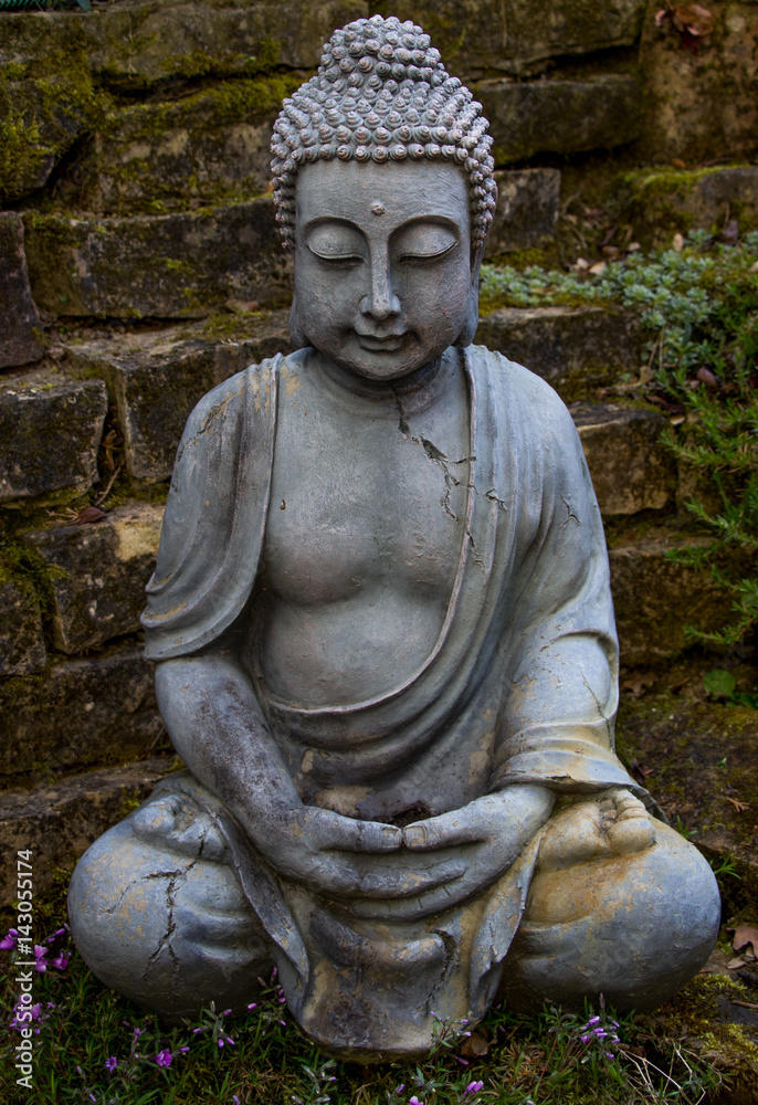 Buddha Buddha