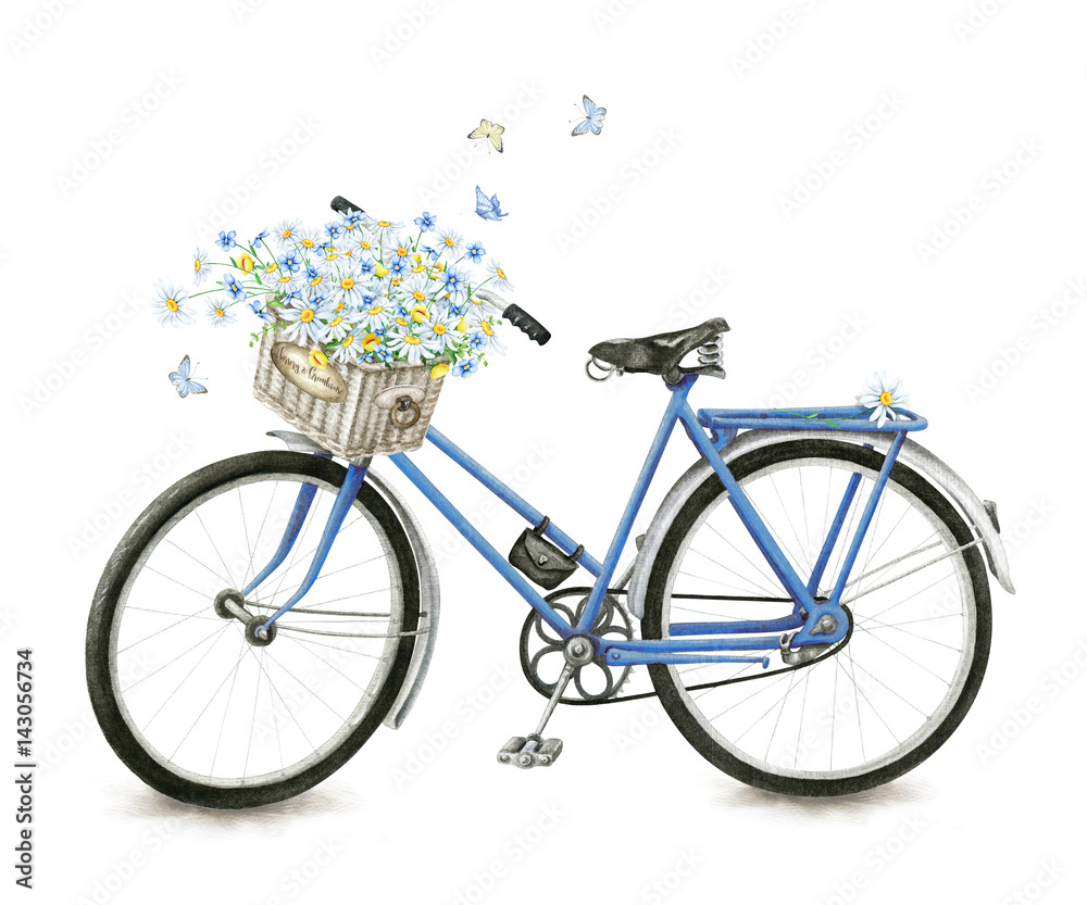 Watercolor hand drawn blue bicycle with beautiful flower basket isolated on white background