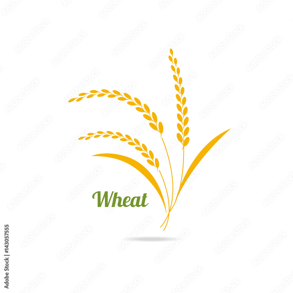 Icon of wheat.
