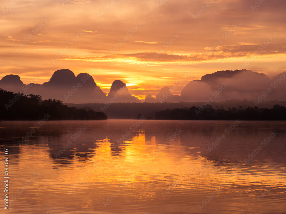 Tropical forest in Krabi, Thailand while sunrise.