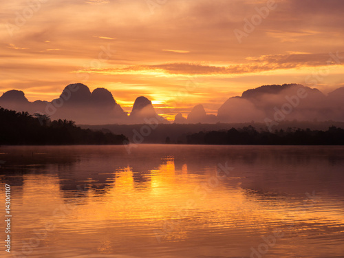 Tropical forest in Krabi, Thailand while sunrise. © newroadboy