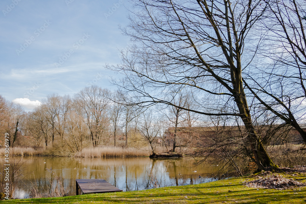 Impressionen Einsame Landschaft mit See und Bäumen Impressionen Einsame Landschaft mit See und Bäumen
