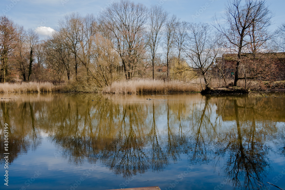 Impressionen Einsame Landschaft mit See und Bäumen Impressionen Einsame Landschaft mit See und Bäumen