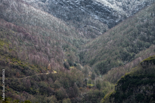 Mountain road through the winter forest