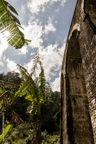 Tropical bridge