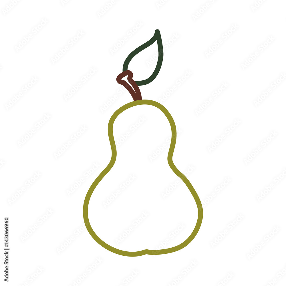 Delicious pear fruit vector illustration graphic design Delicious pear fruit vector illustration graphic design