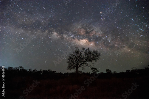 The milky way appears on a the silhouette tree at the border of Thailand-Cambodia. Thailand. Long exposure shooting by used high ISO speed make this photo have noise.