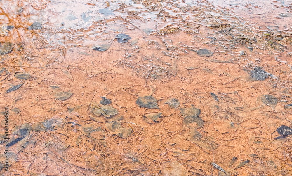 Fallen leaves in brown sludge under water. Copper color sediment