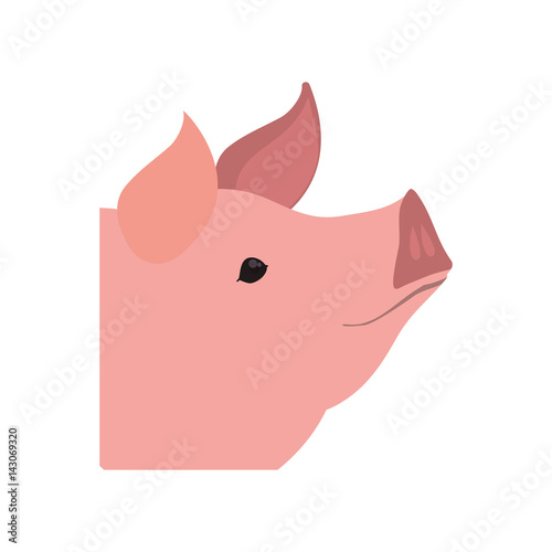 Pig farm animal vector illustration graphic design