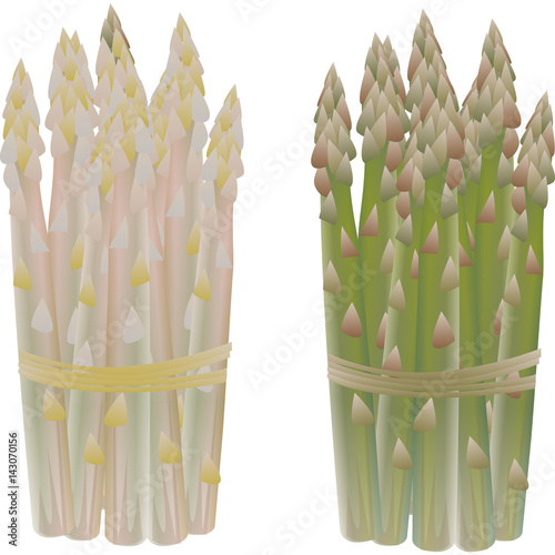 asparagi
