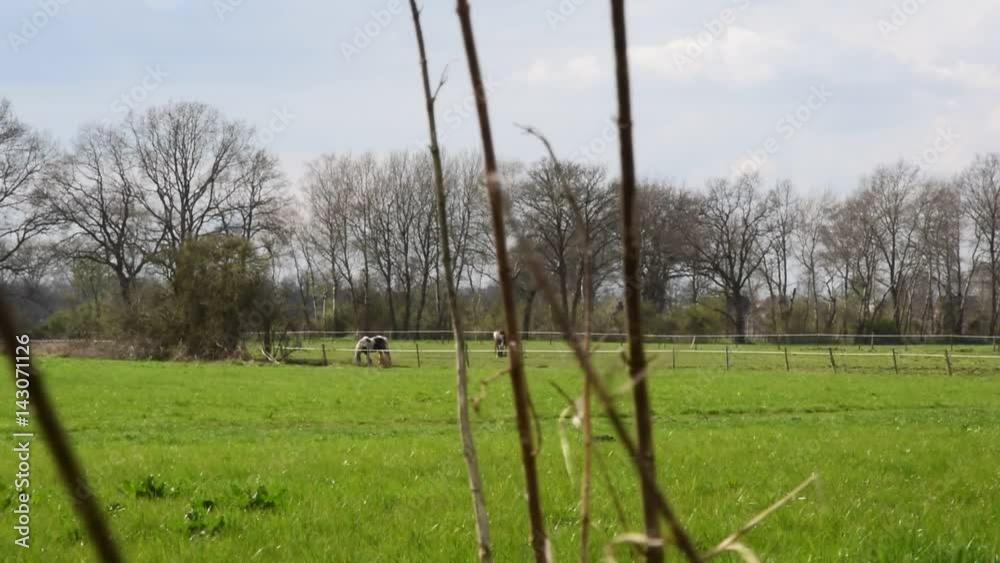 cinematic scene with camera pan