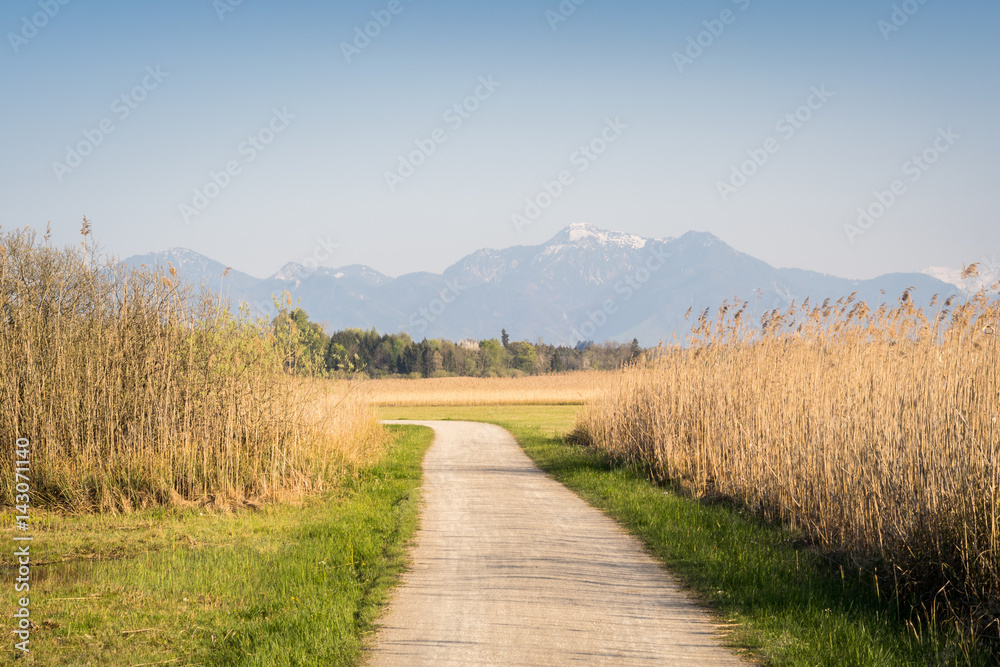 Uferweg bei Rimsting am Chiemsee mit Blick auf die Alpen, Oberbayern in Deutschland