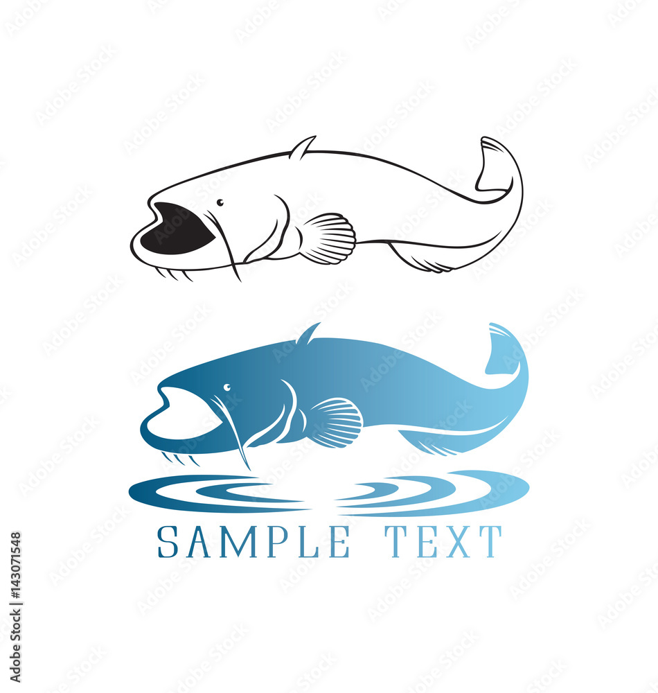 Fototapeta premium fish catfish