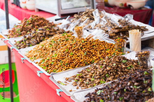 Bug fried sale business Asian Insect Snack food, High Protein from nature. © Quality Stock Arts