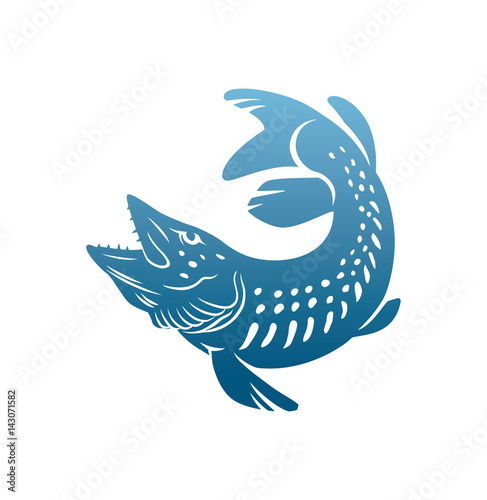 pike fish