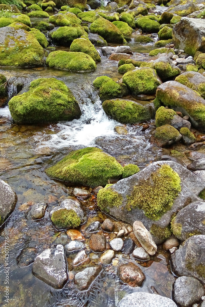 Water flowing over stones overgrown with moss. A mountain stream at the foot of the Tatra Mountains. 