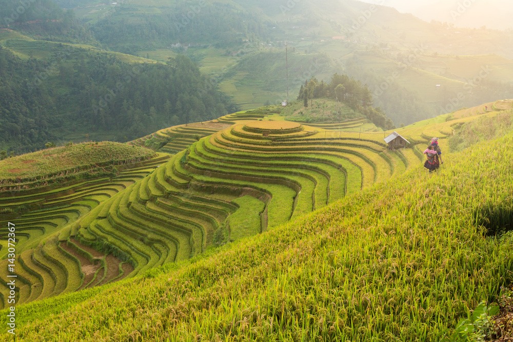 Rice terraces field landscapes beautiful of Mu Cang Chai Yen Bai Vietnam.