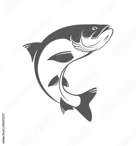 chub fishing