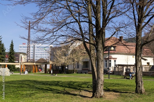 Park in spring. Slovakia