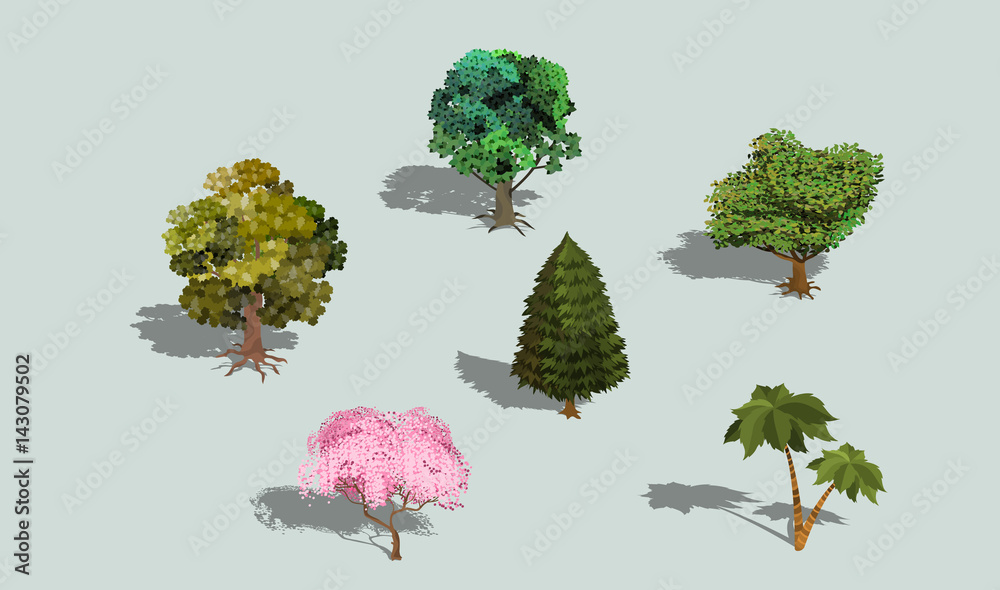 Fototapeta premium Set of vector 3D isometric trees with shadow. Collection of icons of street plants for creating your own design