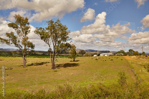 Fields of Australian wild landscape