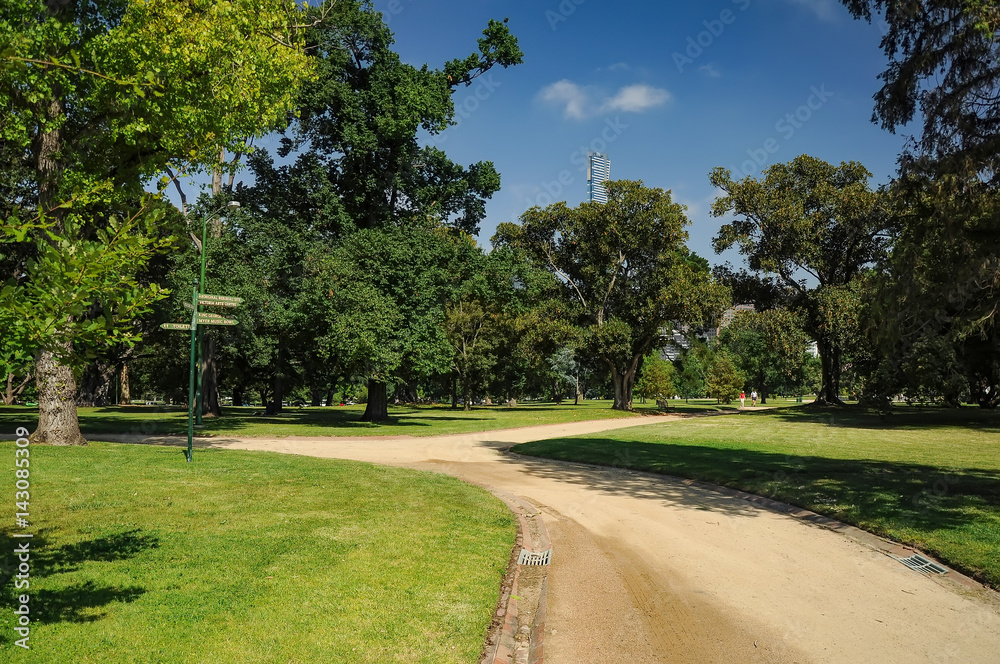 Grooming and beauty of the parks