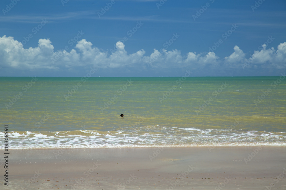 brazilian beach coast on a sunny day in Barra do Cahy, Bahia, Brazil. february, 2017.