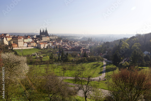 Morning spring Prague City with gothic Castle and the green Nature, Czech Republic