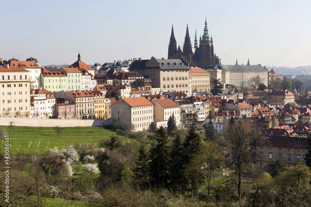 Morning spring Prague City with gothic Castle and the green Nature, Czech Republic