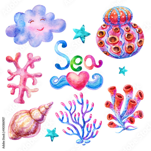 Cartoon marine watercolor seaweeds,shell,cloud,coral illustration icon isolated on white background.Hand draw illustration.Perfect for clearance in a marine style.Design,textile,nautical sea element