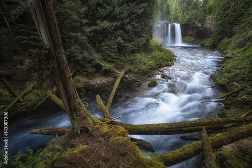 Koosah Falls Waterfall - Willamette National Forest - Oregon