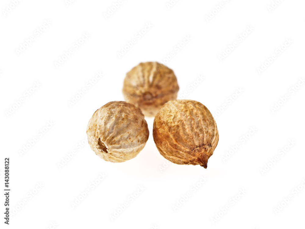 Coriander seeds isolated on white background, selective focus Coriander seeds isolated on white background, selective focus