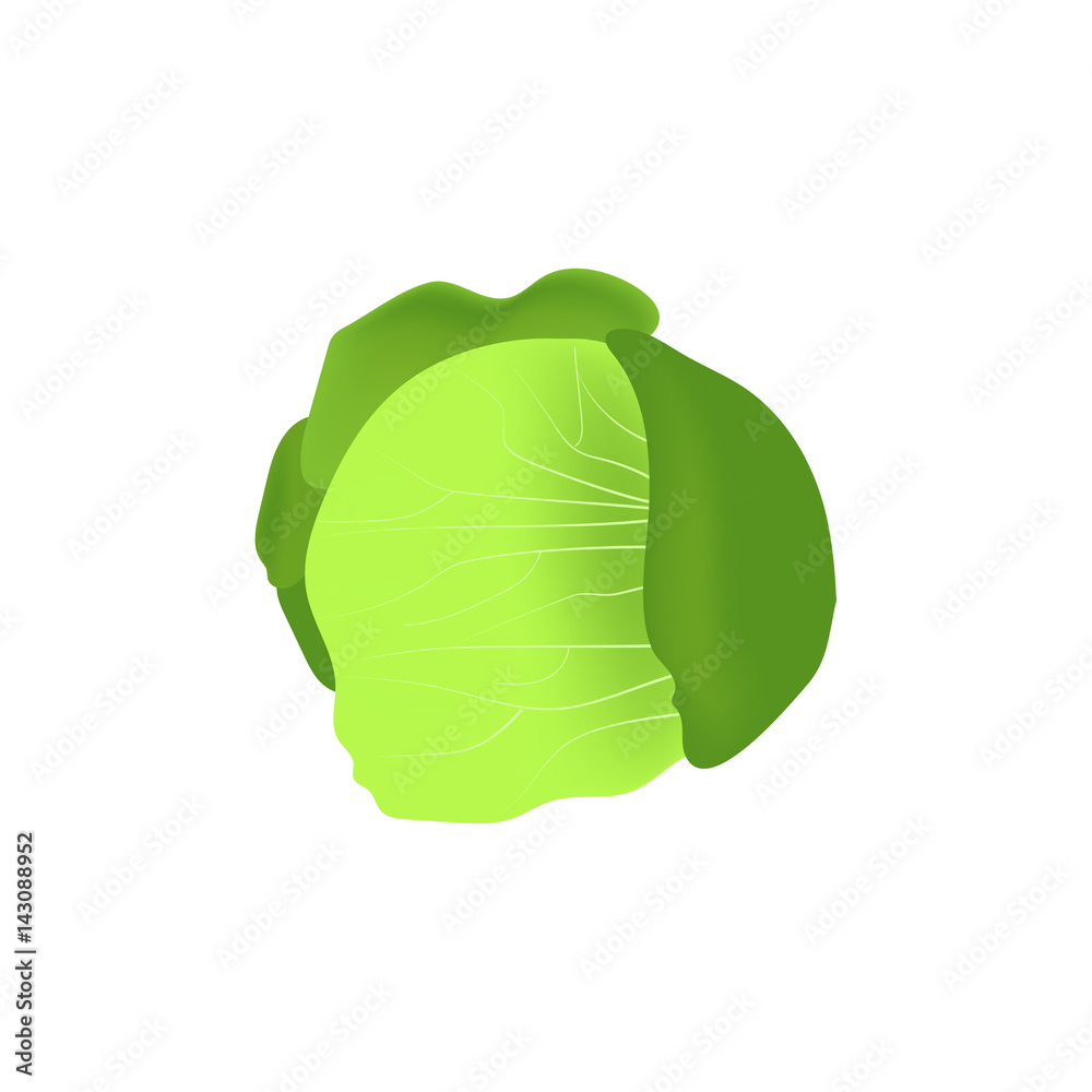 Healthy vegetables with cabbage, vitamins and minerals. Healthy vegetables with cabbage, vitamins and minerals.