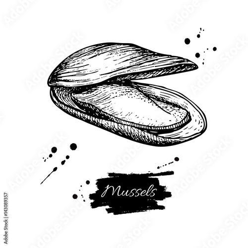 Mussel hand drawn vector illustration. Engraved style vintage seafood. Oyster sketch.