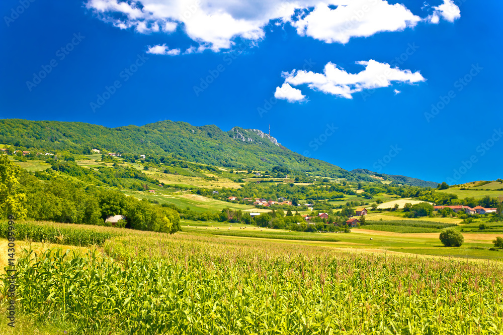Idyllic green landscape of Kalnik mountain