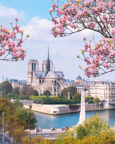 Photography Notre Dame de Paris
