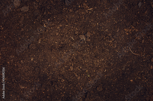 Fertile soil texture background seen from above, top view. Gardening or planting concept with copy space. Natural pattern